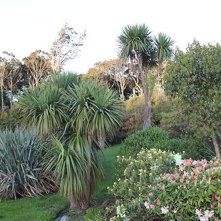 Bed and Breakfast Tui Hideaway Invercargill Exterior foto